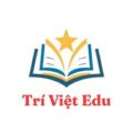 Trí Việt Education